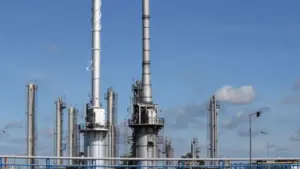 Valves in Oleochemical Plants