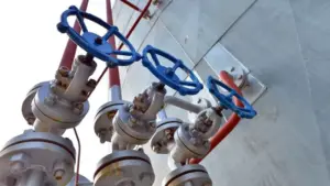 Valves in Oleochemical Plants