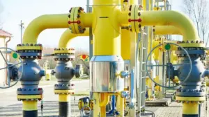 Valves in Oleochemical Plants