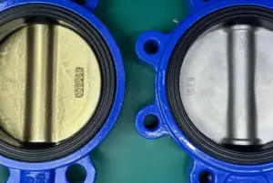 Pneumatic Actuated Butterfly Valve