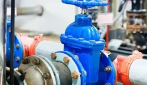 gate valve