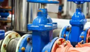 gate valve