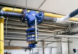 globe control valve