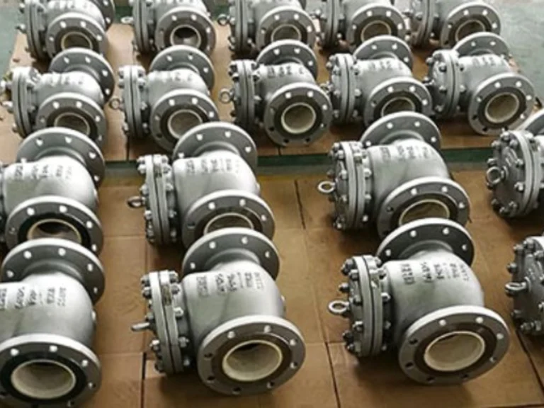Role of Check Valves