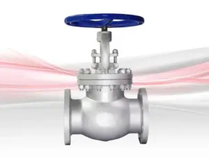 globe valve types