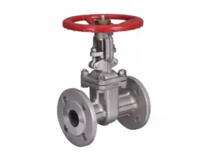 gate valve vs butterfly valve