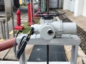 actuated gate valve