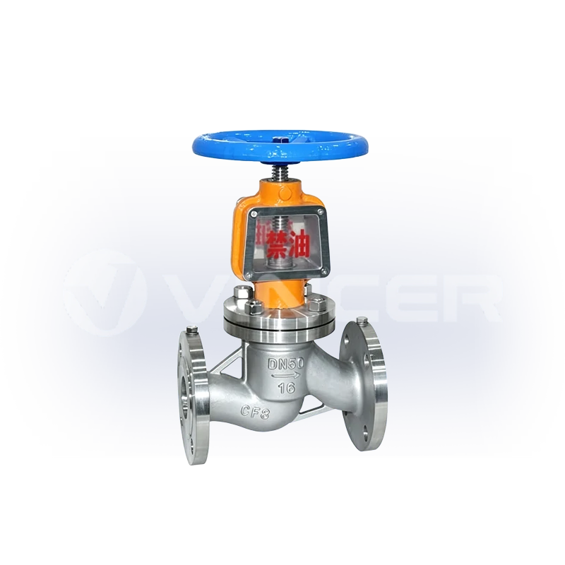 Globe Valves for Oxygen - VINCER