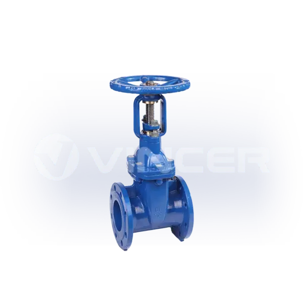 Manual Flanged Rising Stem Gate Valve - VINCER