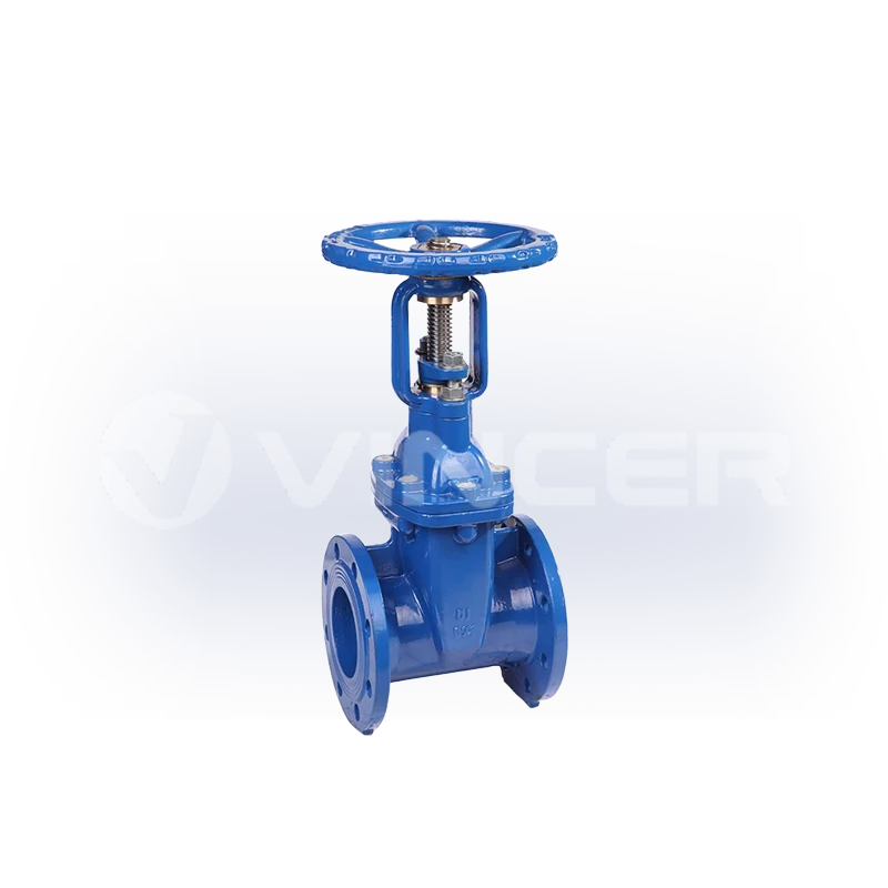 Manual Flanged Rising Stem Gate Valve - VINCER