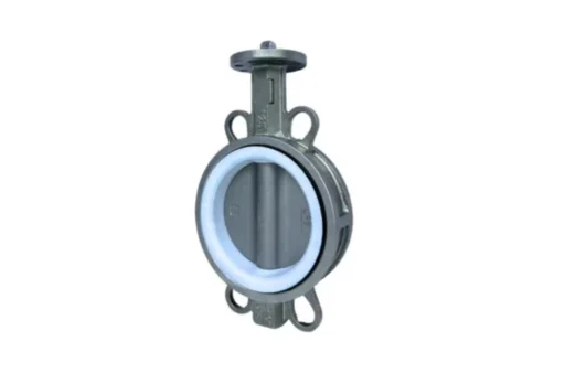 globe valve vs butterfly valve (222)